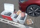 Asegura Profepa 719 ejemplares de pepino de mar en operativo conjunto en Baja California