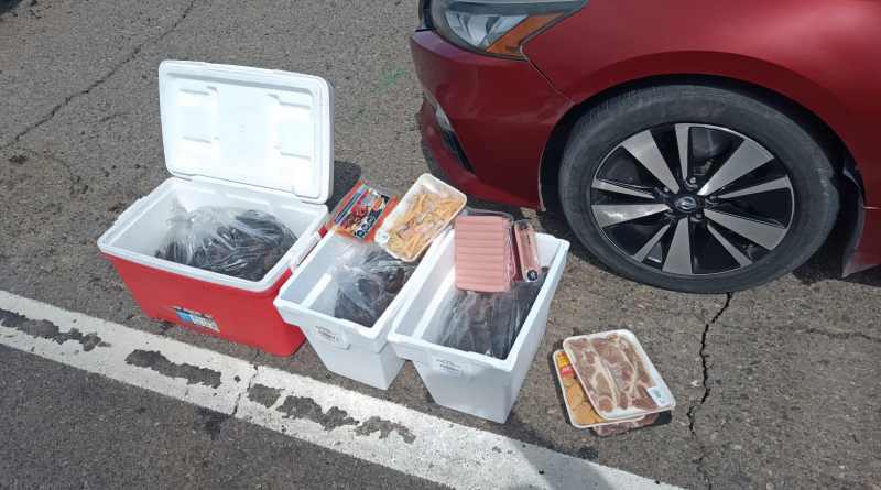 Asegura Profepa 719 ejemplares de pepino de mar en operativo conjunto en Baja California