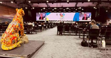Presenta Semarnat avances sustantivos en la meta 30 por 30 en la COP17 