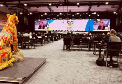 Presenta Semarnat avances sustantivos en la meta 30 por 30 en la COP17 Presenta Semarnat avances sustantivos en la meta 30 por 30 en la COP17