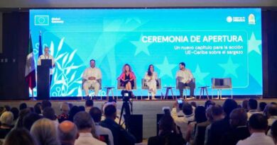 Alianza UE y Caribe para la transformación del sargazo