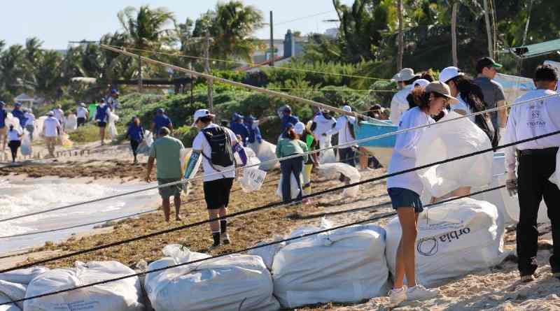Recolectan más de 300 kilogramos de residuos sólidos en las costas de Chicxulub Puerto