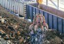 Pide la BIR a Europa reconsiderar restricciones a la exportación de metales reciclados